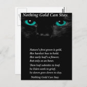 見つめる目 ポストカード (正面/裏面)