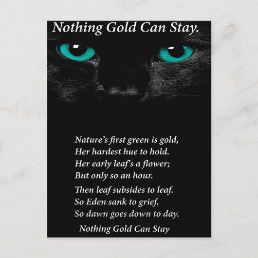 見つめる目 ポストカード (正面)