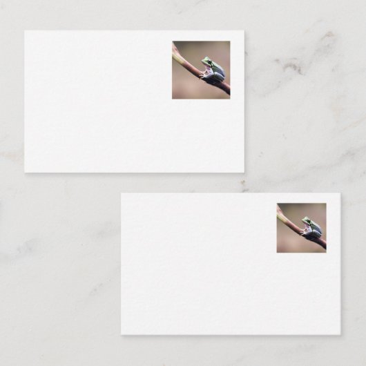 見つめカエルの名刺 名刺 (正面/裏面)