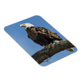 見つめ上げる マグネット (右側)