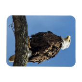 見つめ上げる マグネット (横)