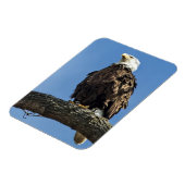 見つめ上げる マグネット (左側)