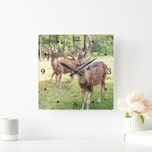 見ているおもしろいなシカ スクエア壁時計 (ホーム)