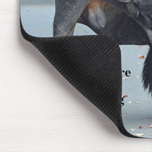 見ているである何おもしろいか。 Bullのバイソン マウスパッド (コーナー)