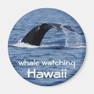 見ているクジラハワイ マグネット