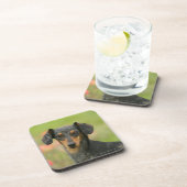 見ている滑らか髪のミニチュアダックスフントの子犬 コースター (右側)