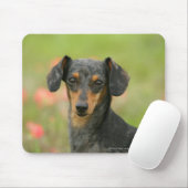 見ている滑らか髪のミニチュアダックスフントの子犬 マウスパッド (マウス)