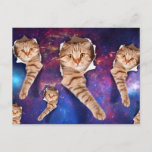 見ている猫よくはしゃぐ – 猫 – 宇宙 ポストカード