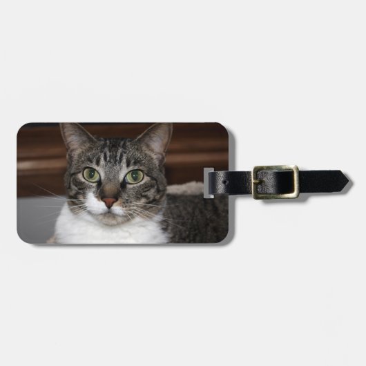 見ている虎猫猫 ラゲッジタグ (正面横)