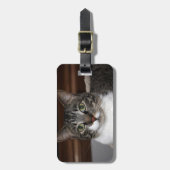 見ている虎猫猫 ラゲッジタグ (正面縦)