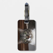 見ている虎猫猫 ラゲッジタグ (裏面縦)