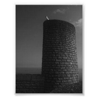 見ている。 フォトプリント           