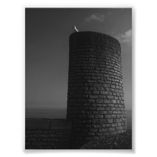 見ている。 フォトプリント            (正面)