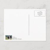 見てくれてありがとう ポストカード (裏面)