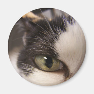 見てるよ マグネット