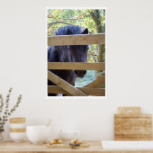 見てる。[プリント] ポスター (キッチン)