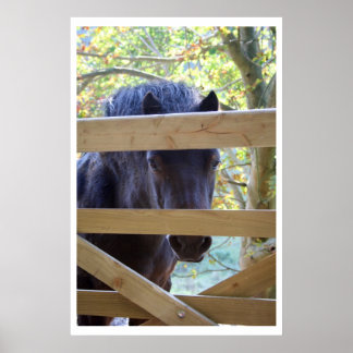 見てる。[プリント] ポスター