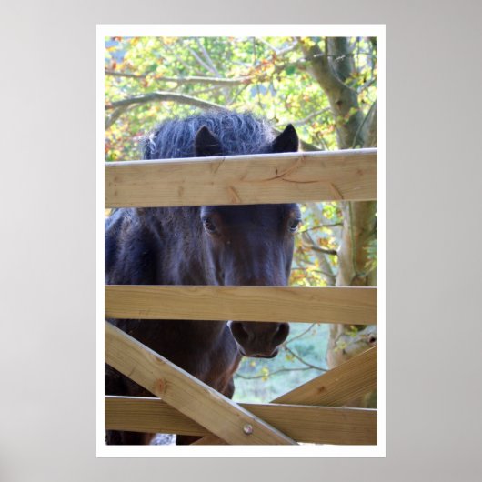 見てる。[プリント] ポスター (正面)