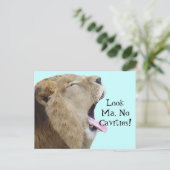 見てマキャビティーはダメ！ポストカード ポストカード (スタンド正面)