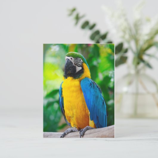 見て ポストカード (スタンド正面)