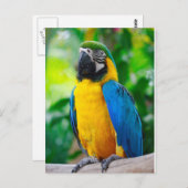 見て ポストカード (正面/裏面)