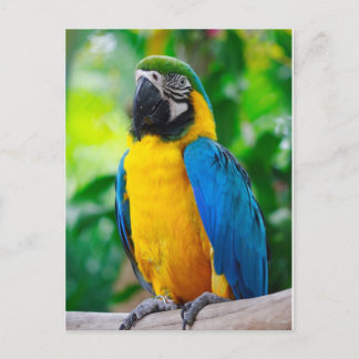 見て ポストカード