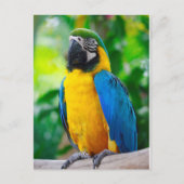 見て ポストカード (正面)