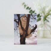 見て！ ポストカード (スタンド正面)