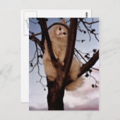 見て！ ポストカード (正面/裏面)