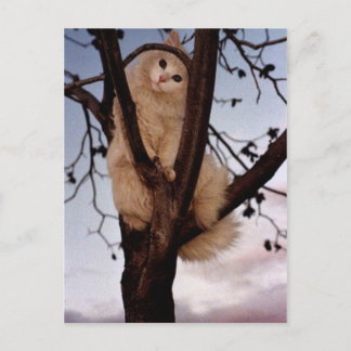 見て！ ポストカード