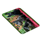 見ない マグネット (右側)