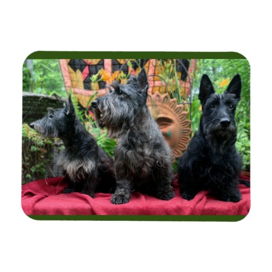 見ない マグネット (横)