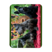 見ない マグネット (縦)