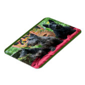 見ない マグネット (左側)