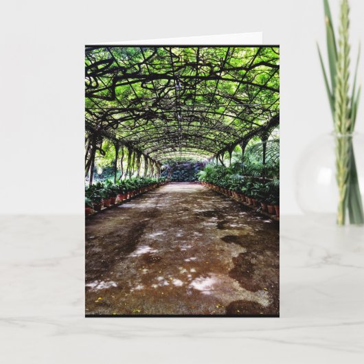 見のスペインのコレクションからの挨拶状 カード (正面)