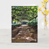 見のスペインのコレクションからの挨拶状 カード (黄色い花)