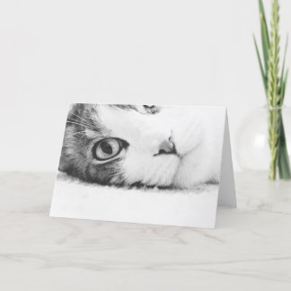 見ます、空greetingcard カード