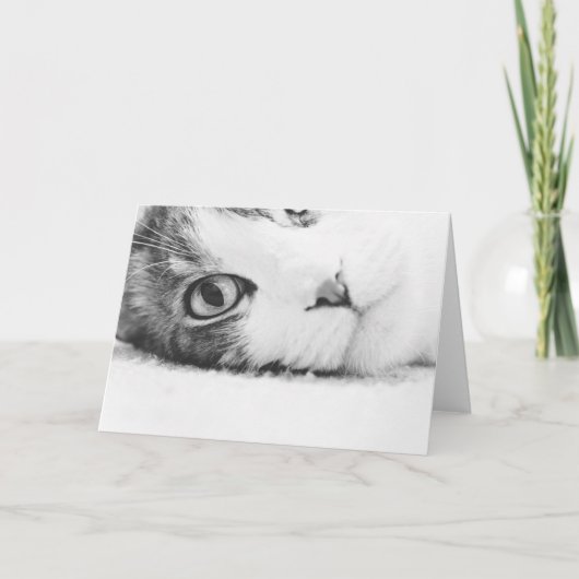 見ます、空greetingcard カード (正面)