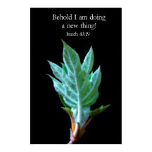 見よ私は新しいことをやっている