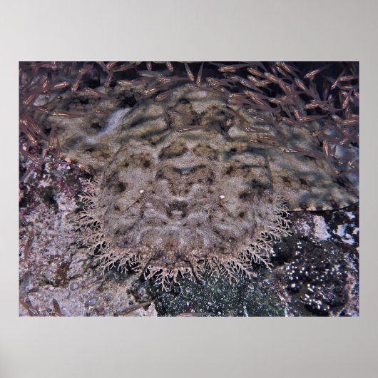 見るからに ポスター (正面)