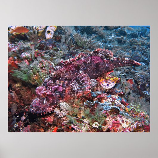 見るからに ポスター (正面)