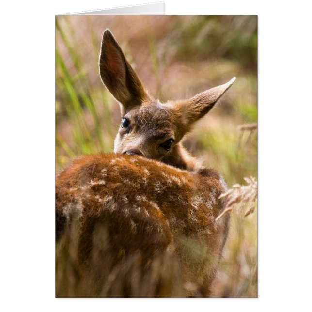 見ること (正面)