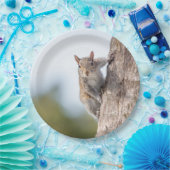 見ること! リスの紙皿 ペーパープレート (パーティー)