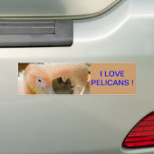 見るペリカンバンパーステッカー バンパーステッカー (車上)