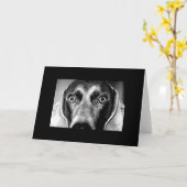 見る不機嫌 カード (黄色い花)