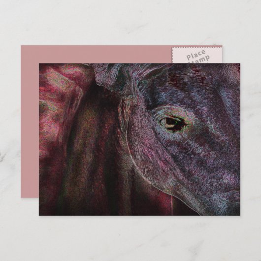 見る人の目 – はがき (正面/裏面)