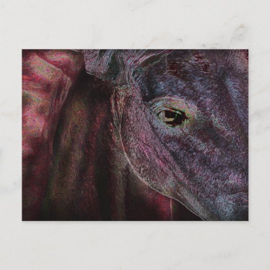 見る人の目 – はがき (正面)