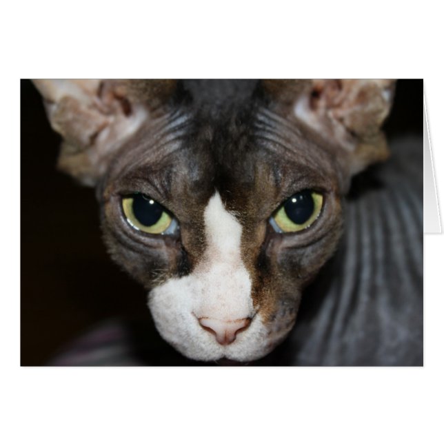 見る目! (正面横)