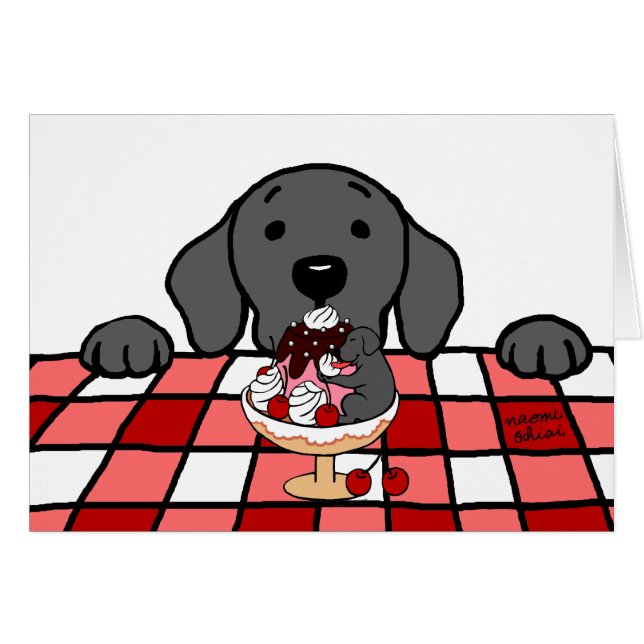 見る黒いラブラドール台所 (正面横)