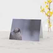 見る カード (黄色い花)